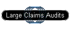 Large Claims Audits