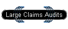 Large Claims Audits